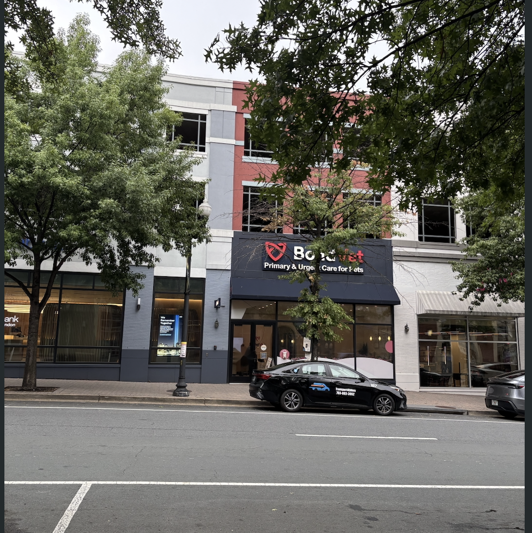 Photo of Bond Vet - Arlington